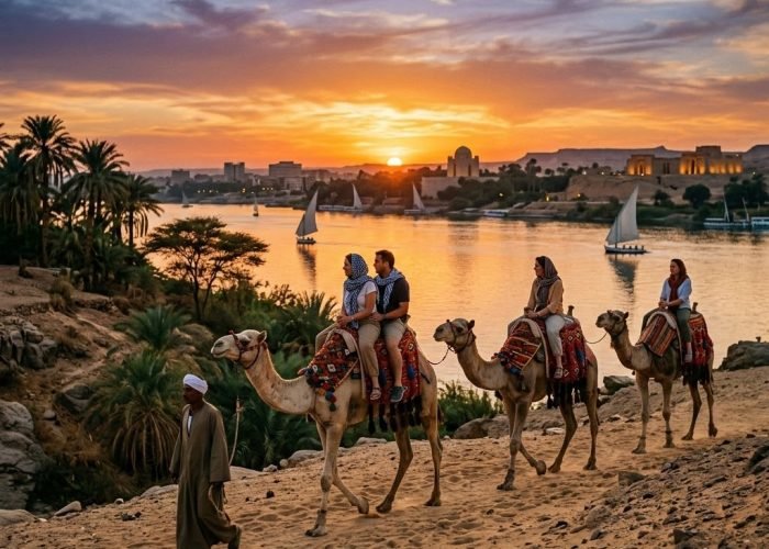 Sunset Camel Ride in Aswan along the West Bank desert dunes
