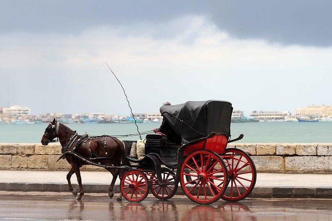 Aswan-Horse-Carriage-Trip-Egypt-Tours-Portal m