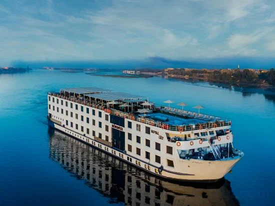 MS ROYAL7