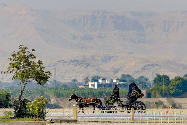 This picture taken on November 26, 2021 shows a view of a horse-drawn carriage riding along the main Nile corniche past the Temple of Luxor (unseen) in in Egypt's southern city of the same name. - Egypt on November 25 unveiled in a grandiose night-time ceremony the "Rams Road" (Tareeq al-Kebbash in Arabic), a 2700-metre-long sandstone-paved path lined with ram-headed statues and sphinxes dating over 3000-years-old connecting the Luxor Temple with the Karnak Temple. Named "The Path of God" in Ancient Egyptian mythology, its ram statues -- an embodiment of the ancient Egyptian deity Amun -- were buried for centuries under the sand before being revived and restored for display in recent years. (Photo by Khaled DESOUKI / AFP) (Photo by KHALED DESOUKI/AFP via Getty Images)